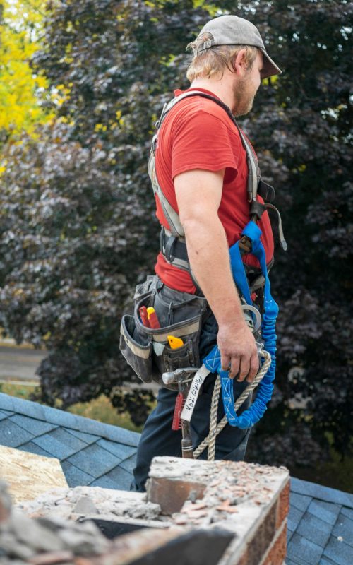 professional chimney technicians homepage