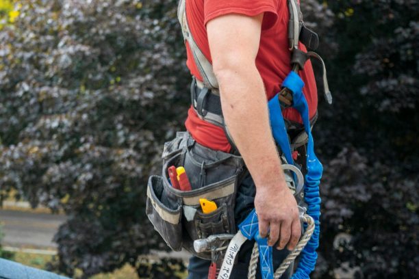 professional chimney technicians homepage